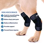 Dog front leg brace
