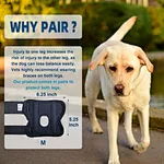 Dog brace for back leg
